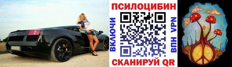 МЕГА маркетплейс Выборг Галлюциногенные грибы GOLDEN TEACHER магазин продажи наркотиков
